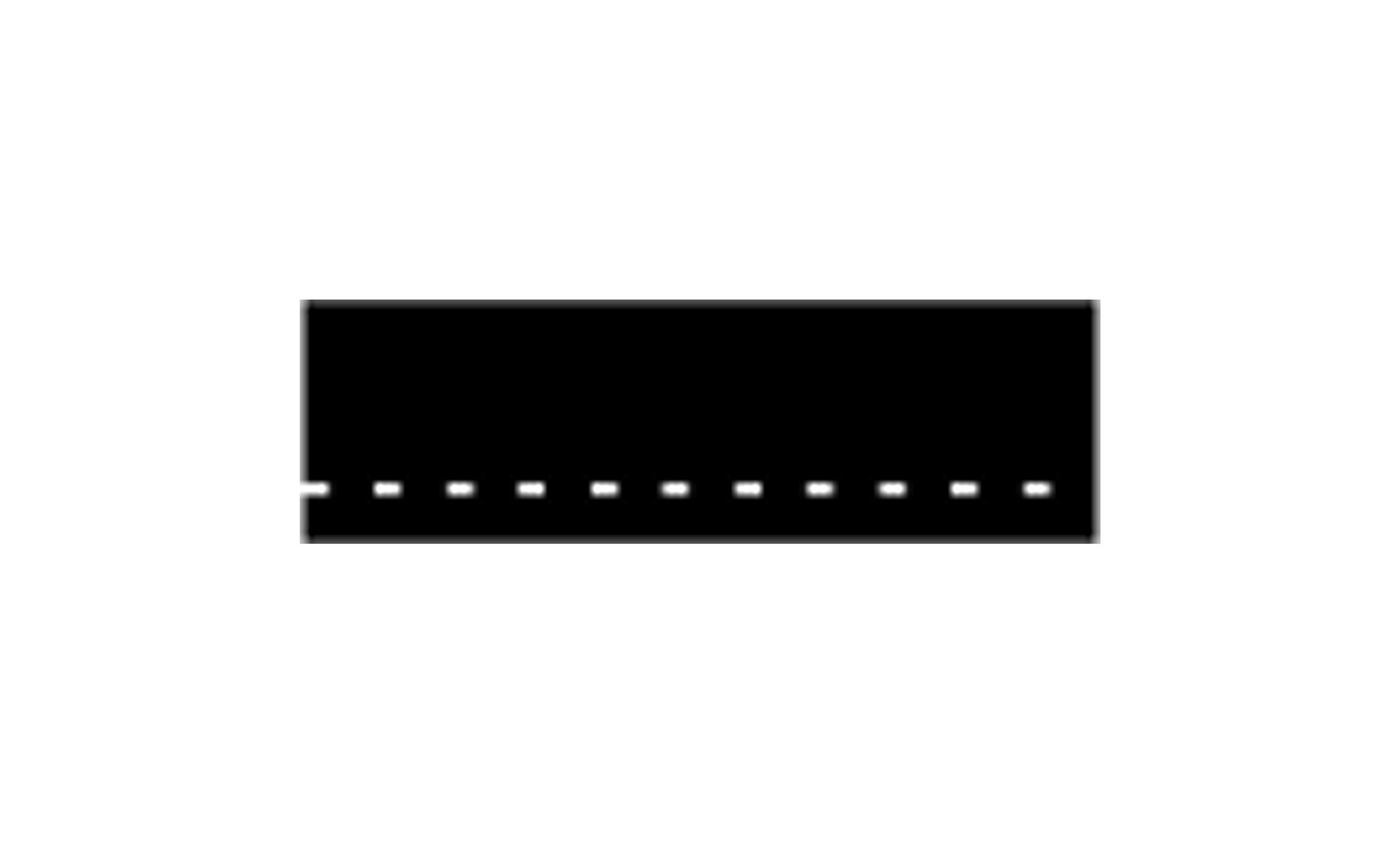 road signs | road markings | m2 | edge line | practice driving licence theory online | körteori